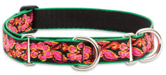 Lupine Tropicana Large Martingale Dog Collar (1 Inch)