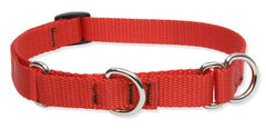 Lupine Solid Red Martingale Dog Collar