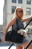 New York Dog Oliver Dog Carrier
