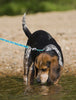 Lupine Sea Ponies Step-In Small Dog Harness (1/2 Inch)