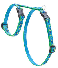 Lupine Sea Ponies Small H-Style Harness for Dogs & Cats (1/2 Inch)
