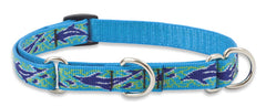 Lupine Dolphin Bay Medium Martingale Dog Collar (3/4 Inch)