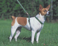 Lupine Atlantis Small Dog Harness (1/2 Inch)