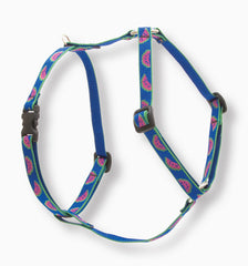 Lupine Watermelon Small Dog Harness (1/2 Inch)