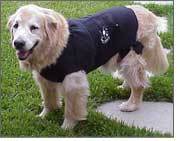 Anxiety Wrap For Dogs