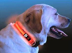 Nite Ize Nite Dawg Illuminated Dog Collar