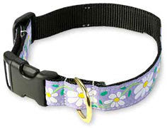 Up Country Daisy Dog Collar