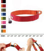 Tazlab Wild Iris Purple Safe-t-Stretch Dog Collar