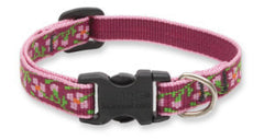 Lupine Cherry Blossoms Small Dog Collar (1/2 Inch)