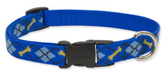 Lupine Dapper Dog Medium Dog Collar (3/4 Inch)