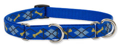 Lupine Dapper Dog Medium Martingale Dog Collar (3/4 Inch)