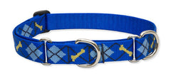 Lupine Dapper Dog Large Martingale Dog Collar (1 Inch)