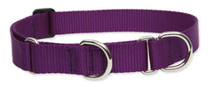 Lupine Solid Purple Martingale Dog Collar