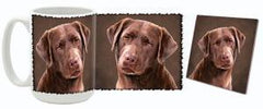 MugWorld Chocolate Labrador Retriever Mug and Coaster Combo Style Two