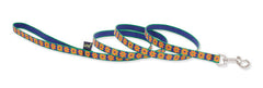 Lupine Closet Upsy Daisy Small Dog Leash (1/2 Inch)