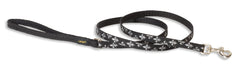 Lupine Silver Charm Small Dog Leash (1/2 Inch)