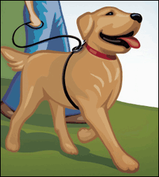Weiss Walkie Dog Training Leash