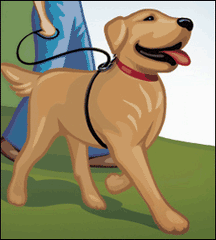 Weiss Walkie Dog Training Leash