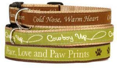 Spot My Dog Cowboy Up Dog Collar