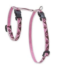 Lupine Tickled Pink Small H-Style Harness for Dogs & Cats (1/2 Inch)