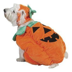 Casual Canine Pumpkin Pooch Dog Halloween Costume