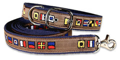 Belted Cow It's Five O'Clock Somewhere Dog Collar