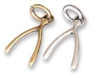 Mascot Lucky Wishbone Dog Charm