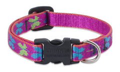 Lupine Wing It Dog Collar (1/2 Inch)
