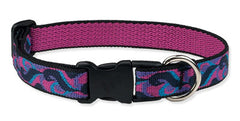 Lupine Closet Peacock Medium Dog Collar (3/4 Inch)