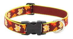 Lupine Closet Oak & Maple Large Dog Collar (1 Inch)