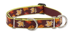 Lupine Closet Oak & Maple Large Martingale Dog Collar (1 Inch)