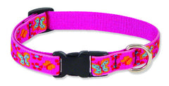 Lupine Closet Grrly Dog Medium Dog Collar (3/4 Inch)