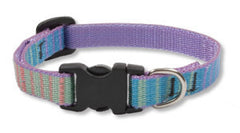 Lupine Cotton Candy Small Dog Collar (1/2 Inch)