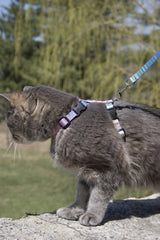 Lupine Cotton Candy Small H-Style Harness for Dogs & Cats (1/2 Inch)