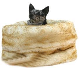 Pet Flys Polar Bear Snuggle Bug Dog Bed & Bag