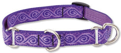 Lupine Jelly Roll Medium Martingale Dog Collar (3/4 Inch)