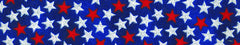 Elmo's Closet All American Dog Collar