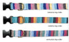 A Tail We Could Wag At The Beach Dog Leash