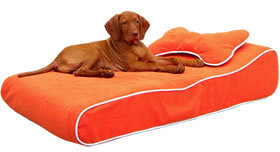 Bowsers Contour Dog Lounger Beds