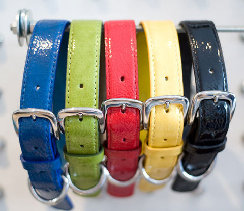 redhound City Slicker Dog Collars