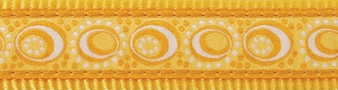 Red Dingo Cosmos Yellow Bucklebone Dog Collar