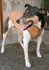 Gold Paw Cozy Dog Coat