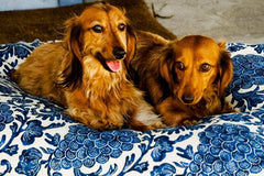 Madison Avenue Mutts Catalina Island Blue Dog Bed
