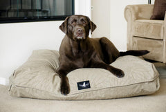 Madison Avenue Mutts Central Park Tan Dog Bed