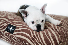 Madison Avenue Mutts Modern Art Brown Dog Bed