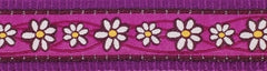 Red Dingo Daisy Chain Purple Bucklebone Dog Collar