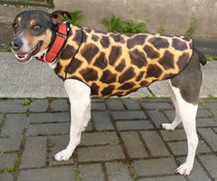 Gold Paw Animal Prints Cozy Dog Coat