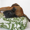 Madison Avenue Mutts Capistrano Green Dog Bed