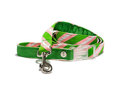 Mascot Old School Repp Green & Pink Dog Leash