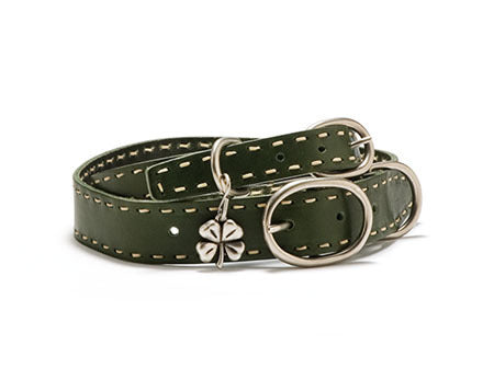 Mascot Signature Lace Sage Leather Dog Collar